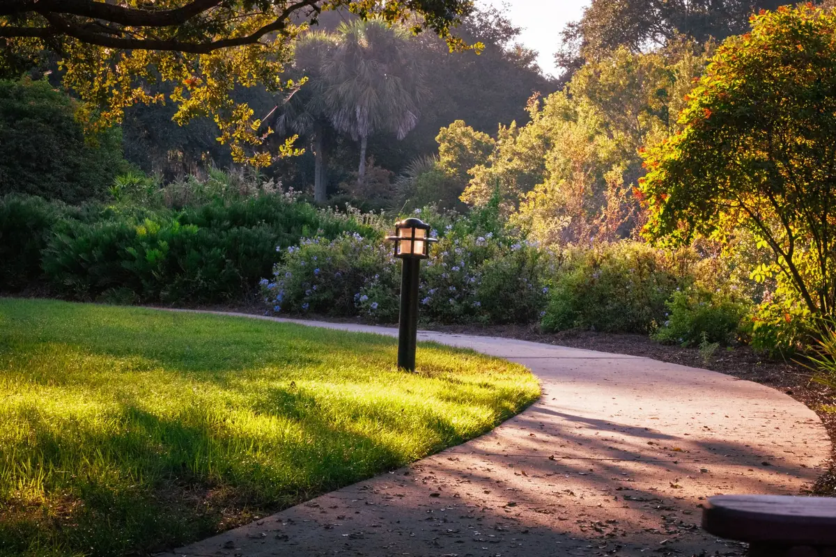 Anxiety therapy in Bromley — a calm, everyday scene