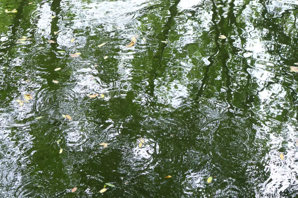 EMDR — a calm, everyday scene